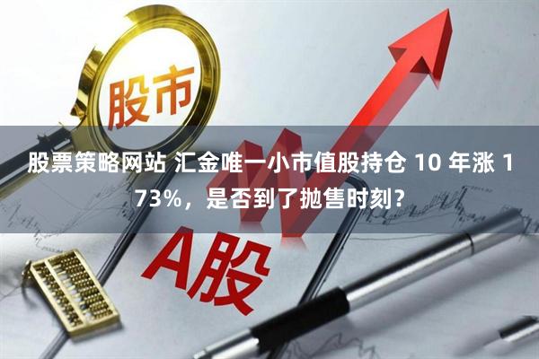 股票策略网站 汇金唯一小市值股持仓 10 年涨 173%，是否到了抛售时刻？